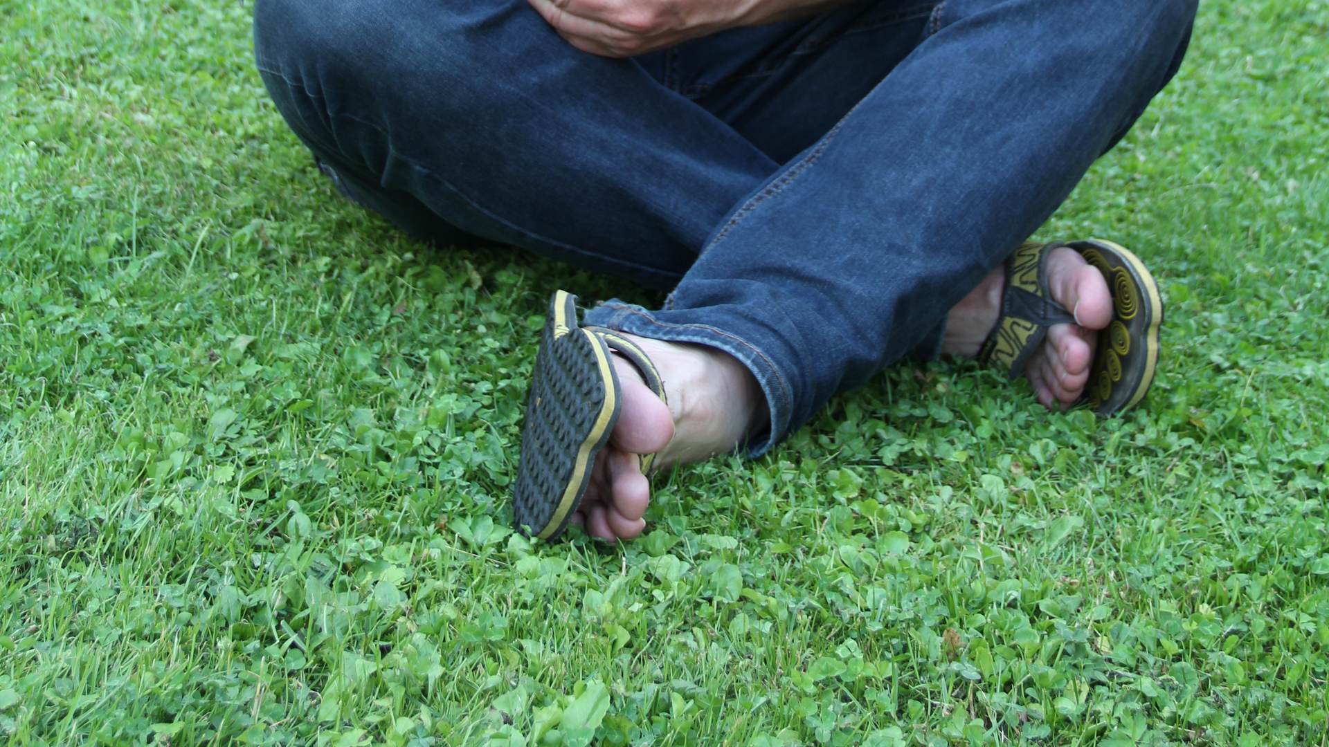 Dr. Ganal füttert eine Schildkröte im Garten